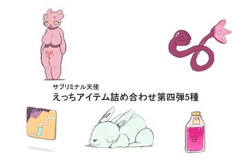 えっちアイテム詰め合わせ第四弾5種 [サブリミナル楽園]