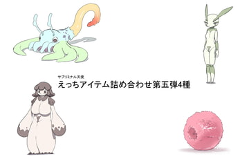 えっちアイテム詰め合わせ第五弾4種 [サブリミナル楽園]