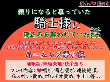 頼りになると慕っていた騎士様に寝込みを襲われていた話 [貴女の為に文字を書く!]