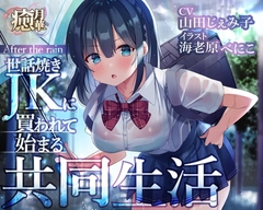 After the rain～世話焼きJKに買われて始まる共同生活～ [癒月華]