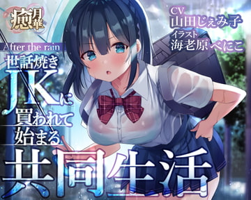 After the rain～世話焼きJKに買われて始まる共同生活～ [癒月華]