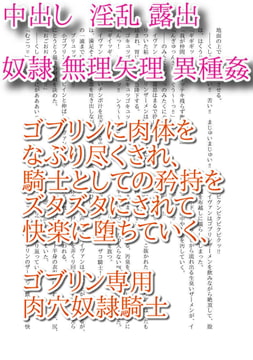 ゴブリン専用肉穴奴○騎士 [彩愛]