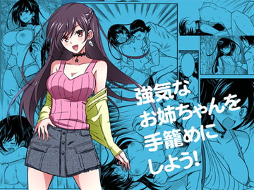 強気なお姉ちゃんを手籠めにしよう! [ソフワセイエイ]