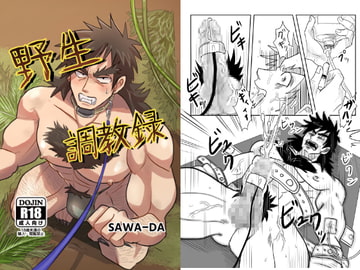 野生調教碌 [沢田亭]