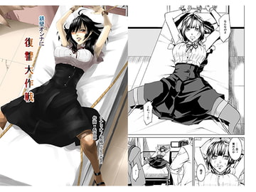 鉄壁オンナに復讐大作戦 [ハニカムの遊技場]