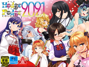 HodgePodgeColor2021 [High-Spirit]