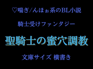 聖騎士の蜜穴調教 [夜明けのおでん屋]