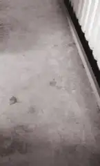 ○リッ子の野外屋内排泄目撃談集2