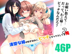 清楚な姉が好きなのに、ビッチとセックスしてる俺2 [裏FMO]