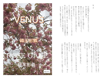 VENUS [アカプルコの月企画]