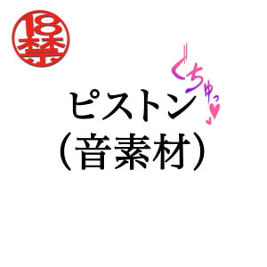 ピストン(音素材) [ペイズリーシステム]