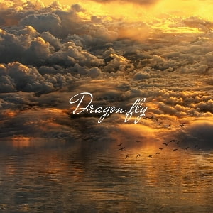 Dragon fly [FLAT SOUND WORKS]