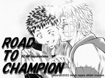 : シュンとヒカル特別編～ROAD TO CHAMPION～(後編) [TEAMながれだま]