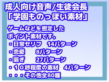 成人向け音声素材(学園ものっぽい素材/生徒会長) [すぱらんど。]