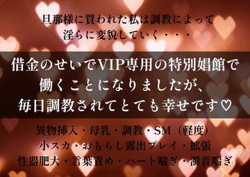 借金のせいでVIP専用の特別娼館で働くことになりましたが、毎日調教されてとても幸せです [やまびこ屋]