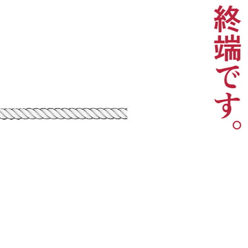 終端です [イグマニティア]