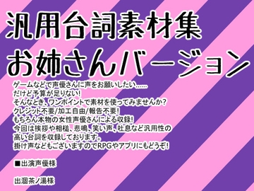 汎用台詞素材集お姉さんバージョン [Junky-Soft]