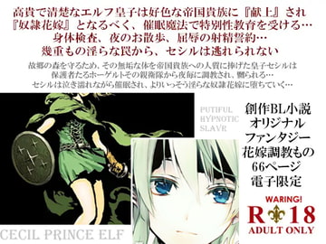 エルフ皇子セシル陥落～凌○調教の催○奴○花嫁～ [Spider licorice]