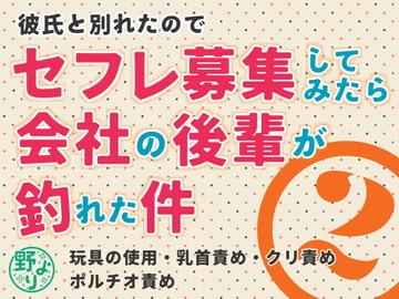 彼氏と別れたのでセフレ募集してみたら会社の後輩が釣れた件2 [野より]