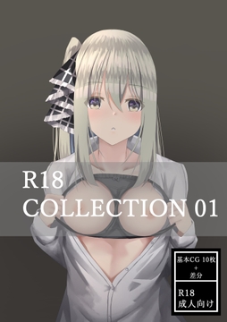 R18 COLLECTION 01 [YS画研]