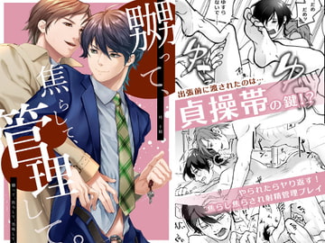 嬲って、焦らして、管理して。 [空想グラッセ]