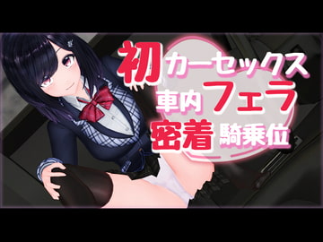 新作AV!初カーセックス車内フェラ密着騎乗位 [柚木姉妹]