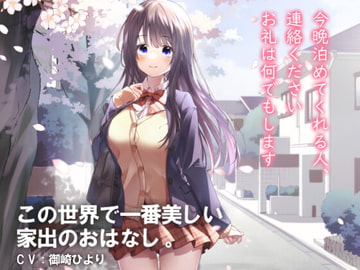 今晩泊めてくれる人、連絡ください。お礼は何でもします～この世界で一番美しい家出のおはなし [幻想庵]