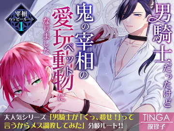 男騎士だったけど鬼の宰相の愛玩動物(ペット)になりました(1) [TINGA/故珍子]
