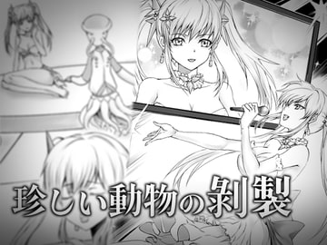 珍しい動物の剥製 [新炎館]