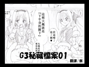 G3秘蔵ファイル01中文版 [マジックハンズ]