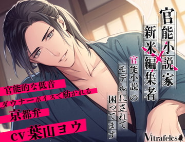 官能小説家×新米編集者～官能小説のモデルにされて困ってます～ [Vitrafeles]
