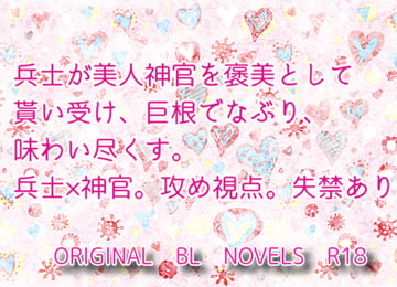 ご褒美に敵国の美人神官様を美味しくいただきました [彩愛]