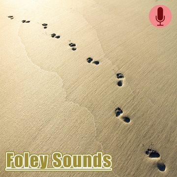 Foley Sounds [Seino noiSe]