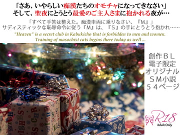 フェチズム・ヘヴン・SMドリーム 第四夜～痴○プレイ・浣腸の儀式・聖夜の本番セックス編～ [スパイダーリコリス]