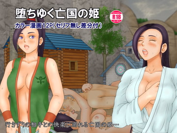 堕ちゆく亡国の姫 [Dan Tetsuo]