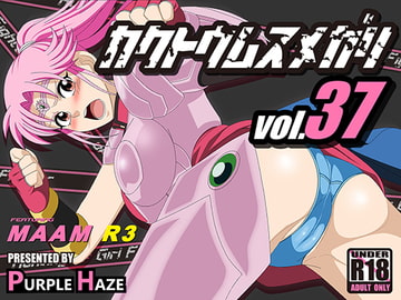 格闘娘狩り Vol37 マァム 編 R3 [PURPLE HAZE]