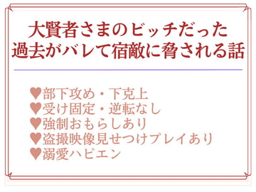 大賢者たる私が元遊び人のはずがない! [uniya]