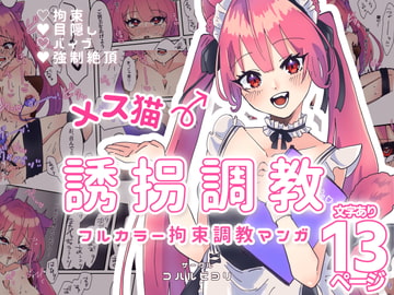 メス猫誘拐調教 [小春日和]
