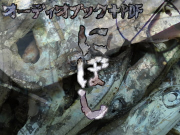 にぼし【オーディオブック+PDF】 [NiboShiyA]