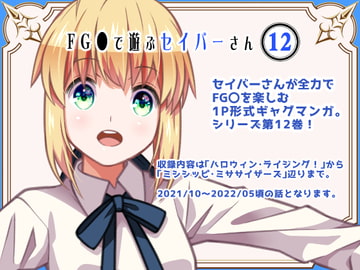 FG〇で遊ぶセイバーさん12 [SoaR]