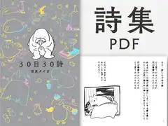 30日30詩