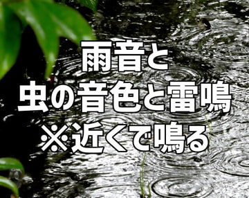 【音声素材】雨音と虫の音色と雷鳴 [HealingSpace]