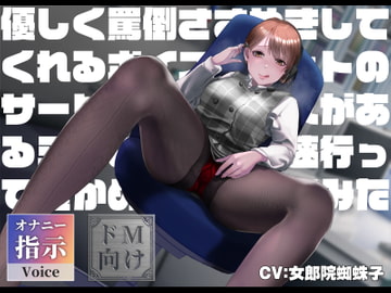 優しく罵倒ささやきしてくれるボイチャサービスがあるらしい [あだちか]