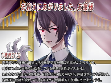 お迎えにあがりました、お嬢様 [who am i]