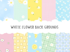 WHITE FLOWER BACKGROUNDS [VCV]