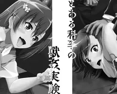 とある科学の獣○実験