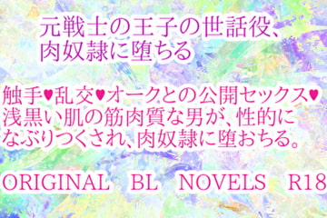 元戦士の王子の世話役、肉奴○に堕ちる [彩愛]