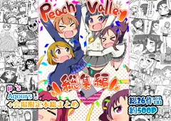 peach valley総まとめ本
