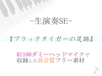 【生演奏SE/効果音】ブラックタイガーの足跡【ダミヘ収録の高音質ASMR!】 [みんなの効果音]