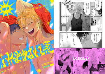 止まれない夏 [ハムスターの毛並み]